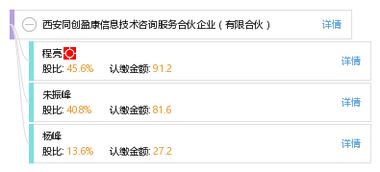 西安同创盈康信息技术咨询服务合伙企业 专业有限合伙模式下的信息技术咨询服务
